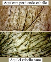 Clínica Stella imagen 14