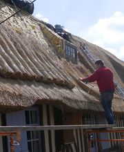 Bosschaerts Romain image 2