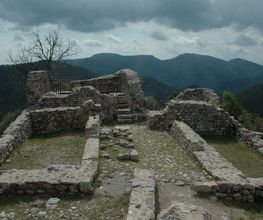 IN SITU SCP imagen 10