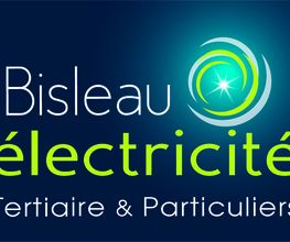 Bisleau Electricité image 7