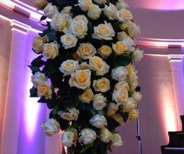 Blumen Fleischli Bild 1