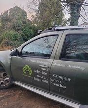 Entre mille branches image 5