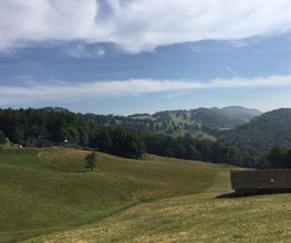 Restaurant zur Alp Bild 5
