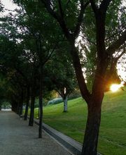 Hacia la Libertad imagen 2