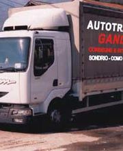 Gallery Cliente