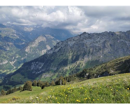 Cairon Bild 3
