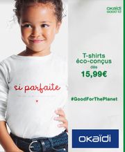 OKAIDI ANGERS GRAND MAINE image 1