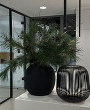 MADELEINE FLORALDESIGN Bild 9