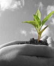 Fliegender Service Bild 1