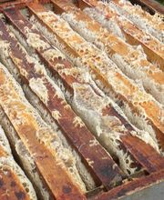 Le Rucher des Hautes Vosges image 5