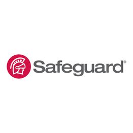 Safeguard Business Systems, Jerome Martin