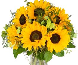 Blumen Schweizer Bild 12