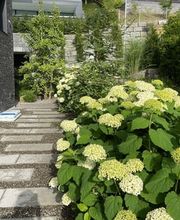 Küng Garten AG Bild 5