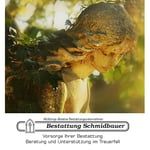 Bestattung Schmidbauer e.K.