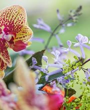 BlütenZauber Binderei Bild 3