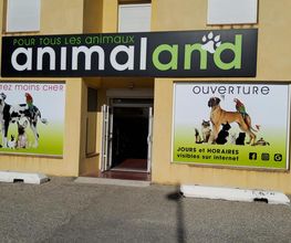 ANIMALAND image 2