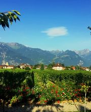 Propriété Veillon Bild 6