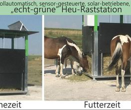 Dipl. Ing. Hanns Ullstein jun. Bild 1