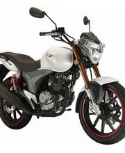 MOTOTREND Bild 5