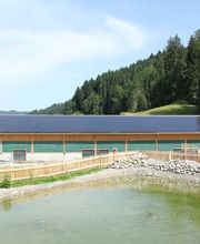 stettler polybau AG Bild 14