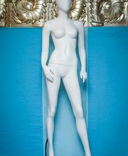 Gallery Professionale