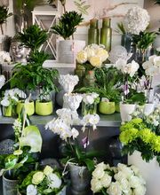 BLUMEN - HAUTMANN Bild 1