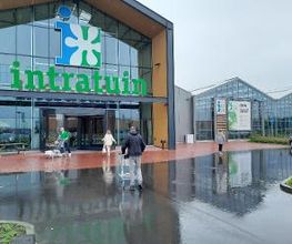 Intratuin Hulst afbeelding 16