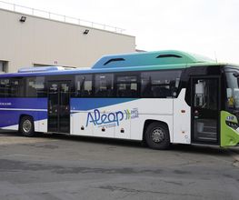 STAO PL 49 image 6