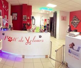 Patt'De Velours image 2
