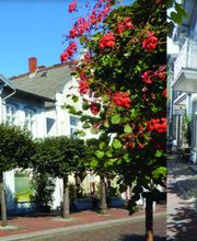 Ergotherapiezentrum Am Wald=Eck Bild 2