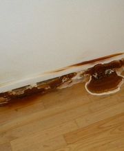 Ex'Im Poitiers image 2