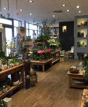 Blumen Interfleur Floristik & Wohnaccessoires Bild 6