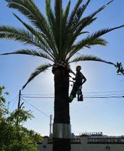 INDIGO JARDINES imagen 3