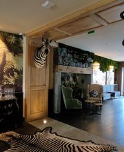 FAZO design image 12