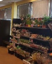 EDEKA Sademann Bild 3