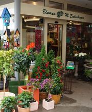 Blumen Eichenberger Horgen Bild 7