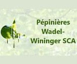 Pépinières Wadel Wininger image 2