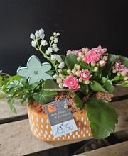 Aux Fleurs Et A Mesure image 5