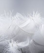 LOVELITERIE Vichy image 3