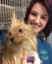 Pooler Veterinary Hospital image 5