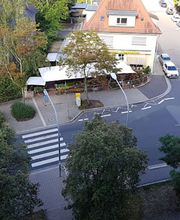 Blumen Steinhilber Weiden Bild 12