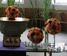 Blumen Götschi Bild 6