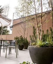 Züst Grüngestaltung GmbH Bild 4
