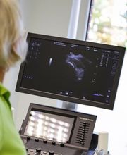 Tierarzt Gütersloh, Kleintierpraxis Isselhorst Bild 7