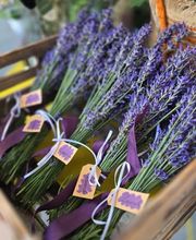 Aux Arcades fleurs Bild 13