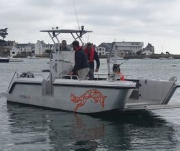 Aluboats Bild 5
