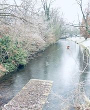 Agence immobilière Laforêt Le Vesinet image 4