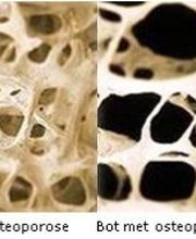 Pronk Osteopaat DO MRO