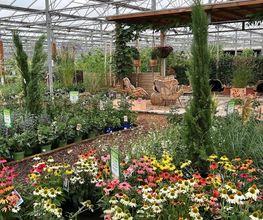 Plantencentrum Velden afbeelding 9