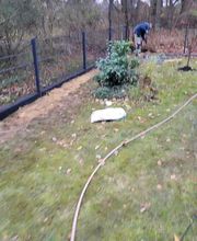 Alex Haus und Hofservice Bild 22